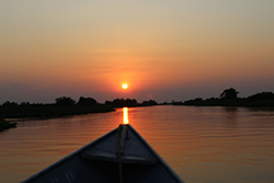 pantanal